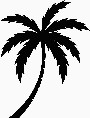 Palm Tree